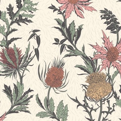 Cole & Son Botanical ~Botanica~ Thistle Carduus 115/14043