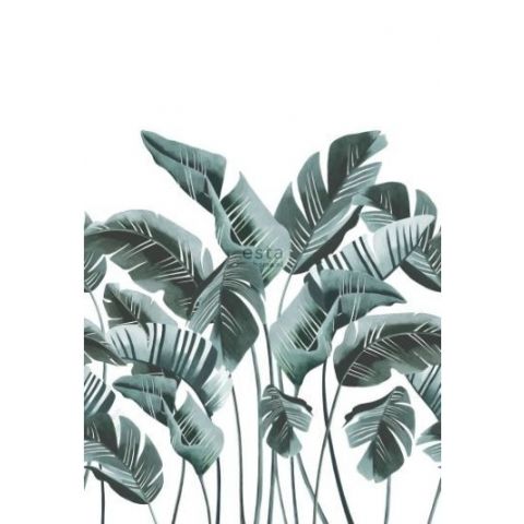 Esta Scandi Cool - Large Banana Leaves Teal 158898