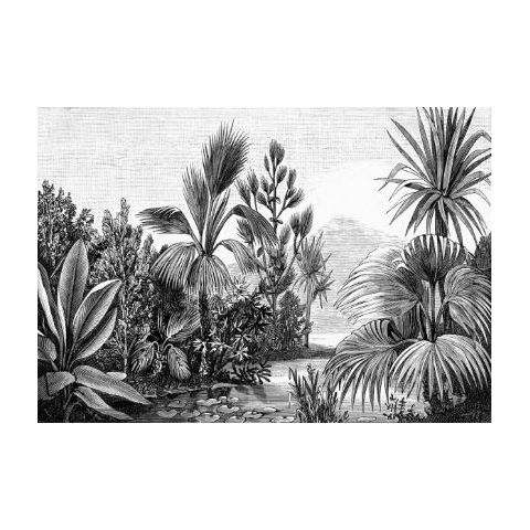 Esta Paradise - Jungle Engraving 158953