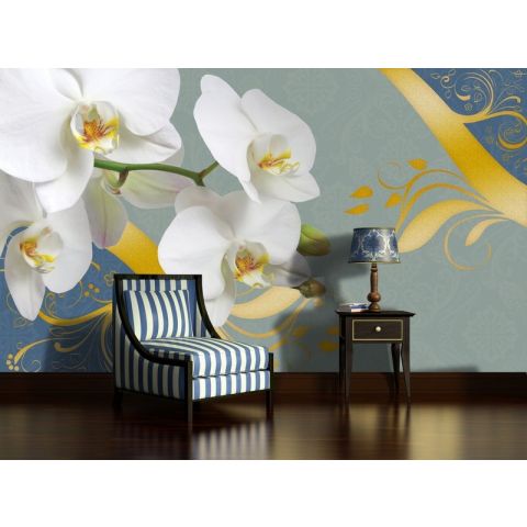 BWS White orchids on grey background