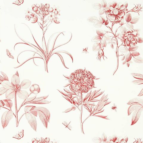 Sanderson One Sixty - Etchings & Roses Amanpuri Red 217054