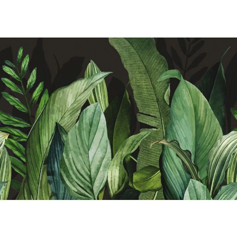Hookedonwalls Caribbean - Tropical Forest 27202