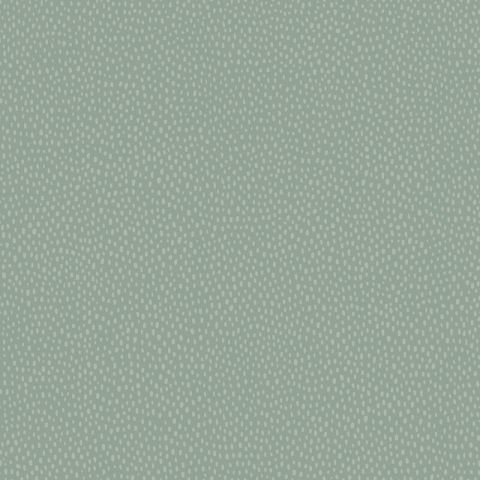 Dutch Wallcoverings First Class Patagonia Duck Egg 36145