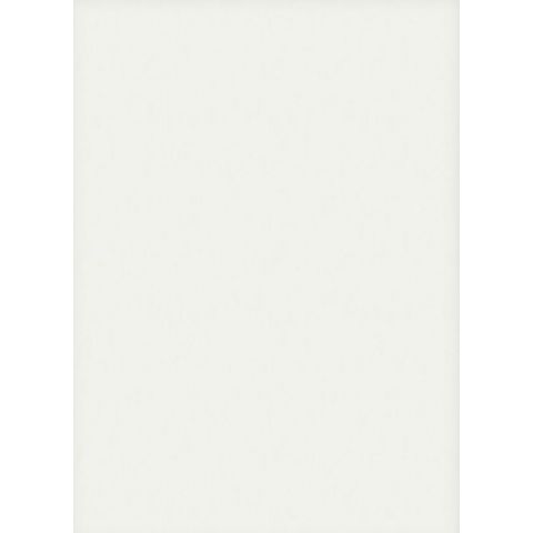 Boras Tapeter Newbie - Linen Birch White 4413