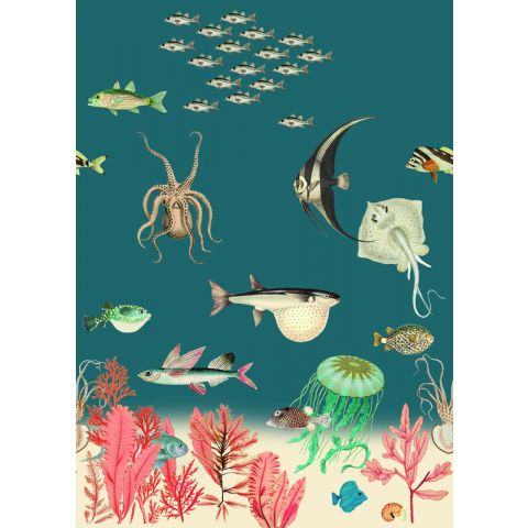 Studio Onszelf - Stories - Sea life 