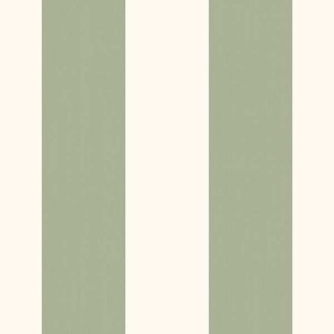 DWD Fiona Stripes@Home 580115