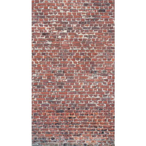 Dutch Wallcoverings One Roll One Motif - Stable Brick A39201