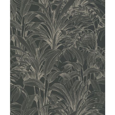 Dutch Wallcoverings - Asperia Aliare A51403