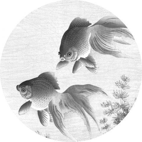 KEK Amsterdam Behang Circles & Panels Goldfish CK-005