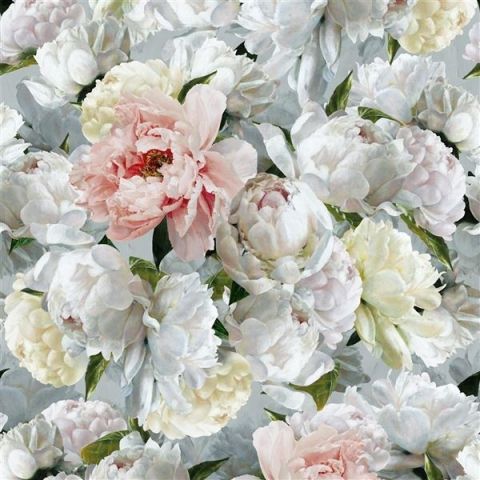 Designers Guild Scenes & Murals - Peonia Grande PDG1102/1