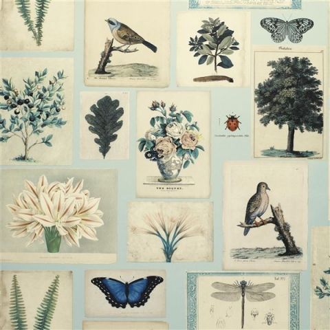 John Derian Picture Book Wallpapers - Flora and Fauna PJD6001/02