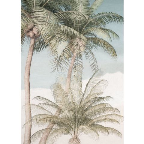 Komar RAW - Palm Oasis R2-003