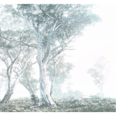 Komar RAW - Magic Trees R3-023