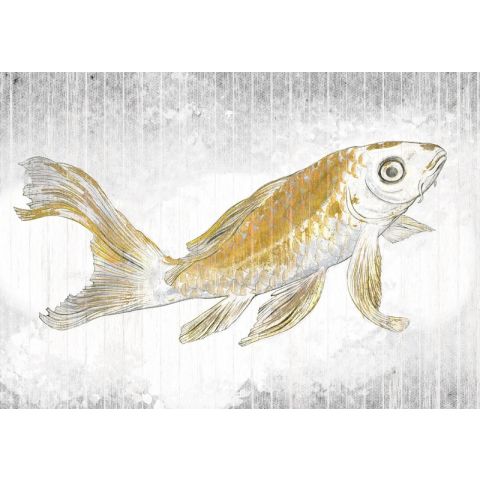 Komar RAW - Golden Koi RSX8-049