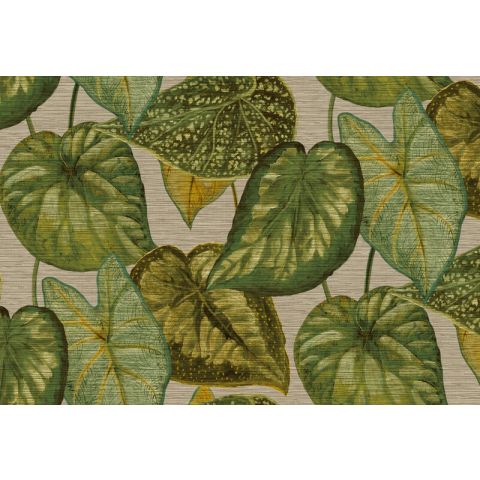 Hookedonwalls Tahiti Tropical Leaves TA25052