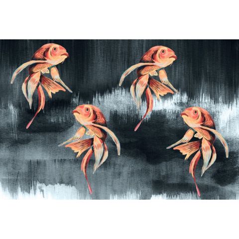 Catchii Koi Fish Art W200061